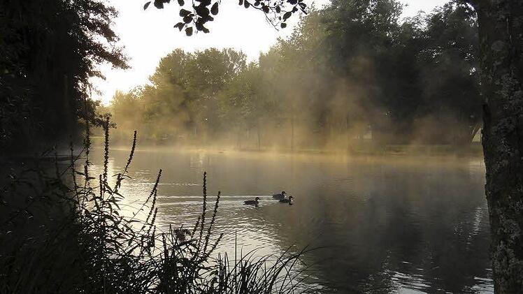 1. Platz Jugend: Florence Hölig (Morgen-Nebel-Enten)Foto: Florence Hölig