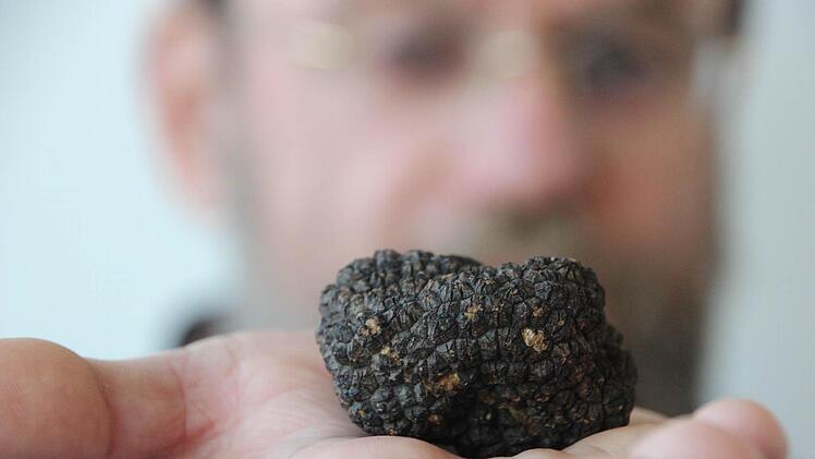 Schwarzes Gold: die Frankentrüffel soll Gourmets verzaubern.