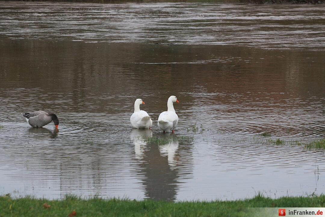 Überschwemmung in Oberfranken - Kemmern