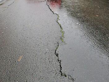 Ein Riss zieht sich durch die Fahrbahn der Parksiedlung. Der Hang muss deshalb aufwändig saniert werden. Die Kosten werden auf knapp 600 000 Euro geschätzt.  Foto: Dieter