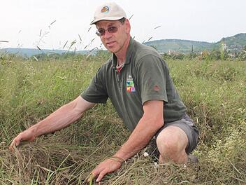 Die Wiese war üppig bewachsen, bevor die Saale alles vernichtete. Gerhard Fella begutachtet die Schäden. Fotos: Benedikt Borst
