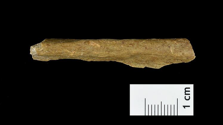 Koexistenz in Eisesk&auml;lte: Mensch und Neandertaler