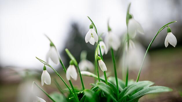 Frühlingshafte Temperaturen