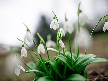 Fr&uuml;hlingshafte Temperaturen