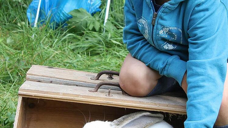 Anton Mertel verleiht seinen Hasen an das Filmteam. "Lulu" muss auf dem Schoß der Prinzessin sitzen.
