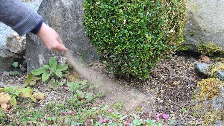 Der Bodenaktivator sorgt mit seiner Mischung aus natürlichen Inhaltsstoffen für die Vitalisierung von ausgelaugten Böden. Fotos: Lisa Kieslinger