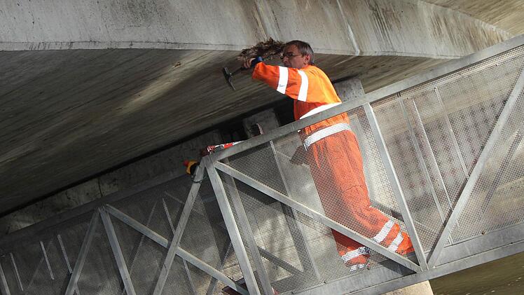 Ingenieur Klaus Schneider klopft den Unterbau der Aischbrücke ab.  Fotos: Sabine Herteux
