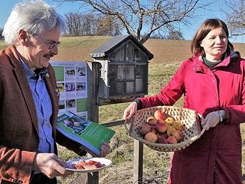 Wissenswertes über heimische Apfelsorten erfuhr Staatssekretärin Dr. Manuela Rottmann von Richard Mergner, dem Landesvorsitzenden des Bund Naturschutz, beim Besuch der Streuobstwiese in Untererthal.