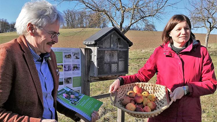 Wissenswertes über heimische Apfelsorten erfuhr Staatssekretärin Dr. Manuela Rottmann von Richard Mergner, dem Landesvorsitzenden des Bund Naturschutz, beim Besuch der Streuobstwiese in Untererthal.