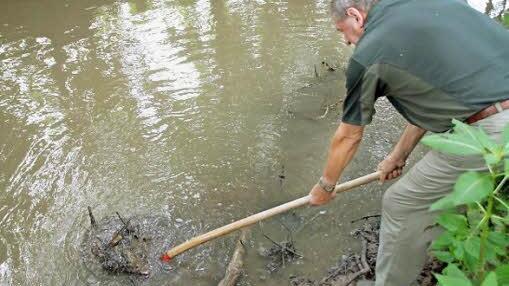 Rudi Slama zeigt, wie viel modriger Laubabfall am Lauergrund liegt.