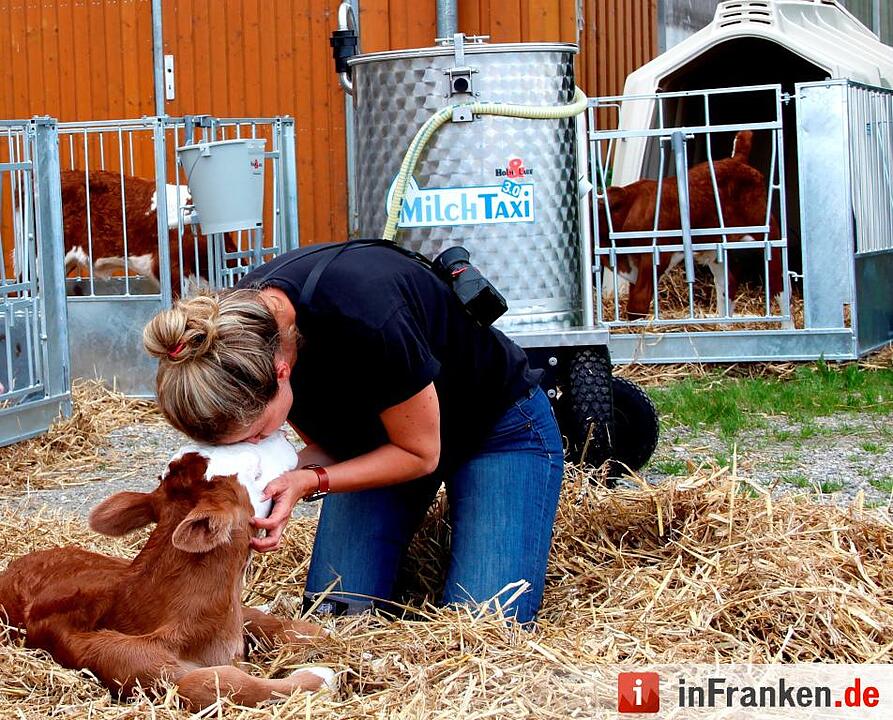 Schweiß im Stall: Making-Of vom Jungbauernkalender 2017