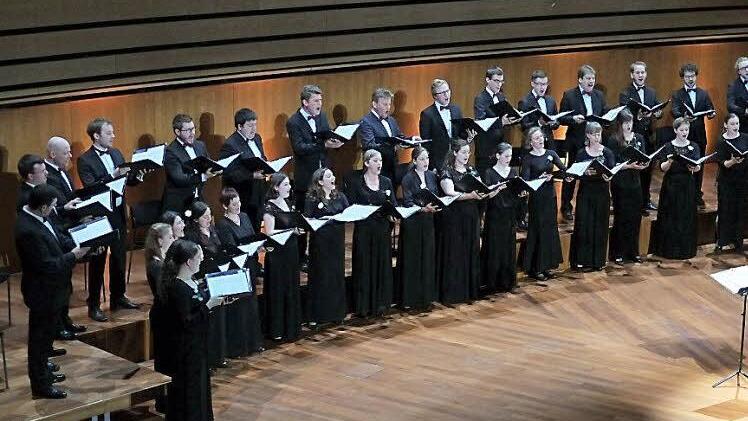 Der Chor "Cantabile" Regensburg ist im Kreis Haßberge bei vielen Veranstaltungen positiv aufgefallen. Jetzt kommt er wieder. Foto: privat