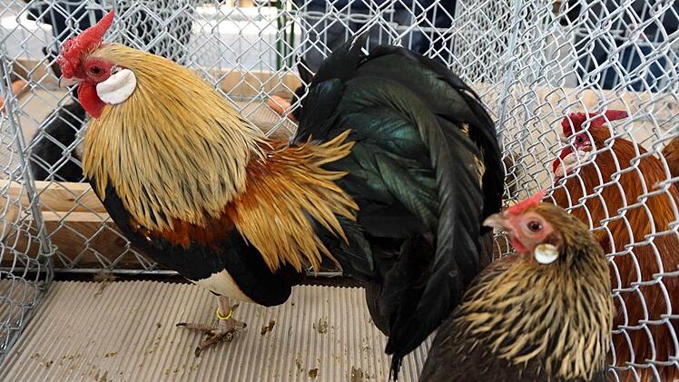 Foto: Richard Sänger