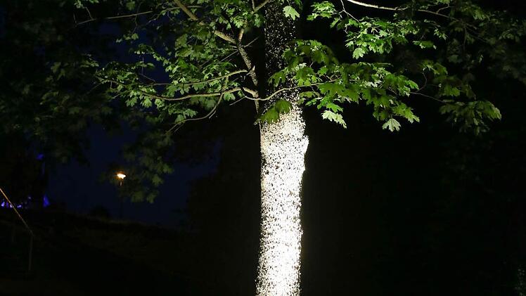 Foto: Barbara Herbst