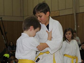 Judo in Aktion hieß es bei der Vorstellung der verschiedenen Kampfsporttechniken. Foto: Michael Wunder
