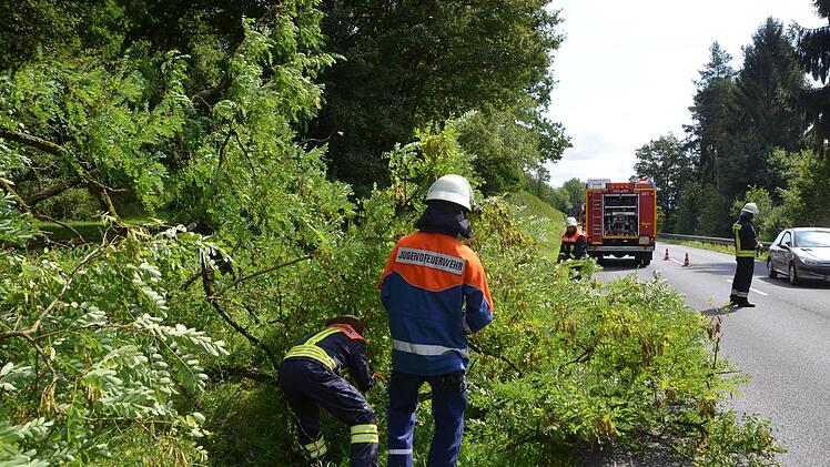 Mit einem lauten Knall war der Baum auf die Straße gestürzt. Die Zweige waren schnell weggeräumt.  Foto: Peter Rauch