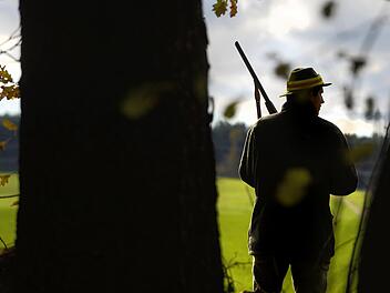 Symbolfoto: Felix Kästle, dpa