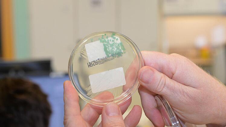 So sieht einer der bekanntesten multiresistenten Keime aus: der MRSA ist als türkis-grüne Flecken gut zu erkennen.  Fotos: Ronald Rinklef