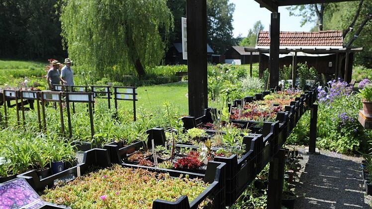 Impressionen aus dem Staudengarten der Familie Sagert in Marktschorgast Foto: Barbara Herbst