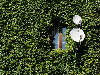 Foto: Arne Dedert dpa/lhe