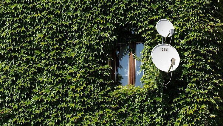 Foto: Arne Dedert dpa/lhe