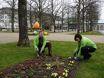 Die Fachkr&auml;fte der Bayer. Staatsbad Bad Kissingen GmbH beim Pflanzen der Fr&uuml;hlingsbl&uuml;her im Kurgarten. Foto: Daniel Scheublein