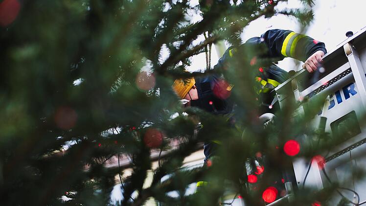 Er leuchtet wieder: Forchheims höchster Weihnachtsbaum. Foto: Freiwillige Feuerwehr Forchheim / Dominik Nögel