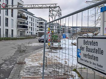 Schauplatz einer Baumisere: Die Krackhardtstraße auf der Bamberger Erba-Insel.  Foto: Ronald Rinklef