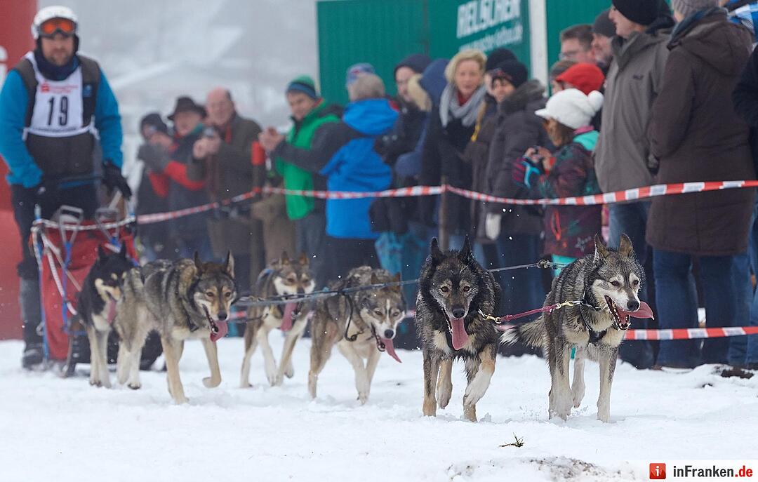 Schlittenhunderennen in Liebenscheid