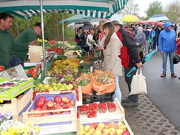 Jetzt hat der Bürger das Sagen: Wie es mit dem Grüber Wochenmarkt weitergeht, wird sich spätestens beim Bürgerentscheid am 25. Juni zeigen. Foto: Michael Stelzner
