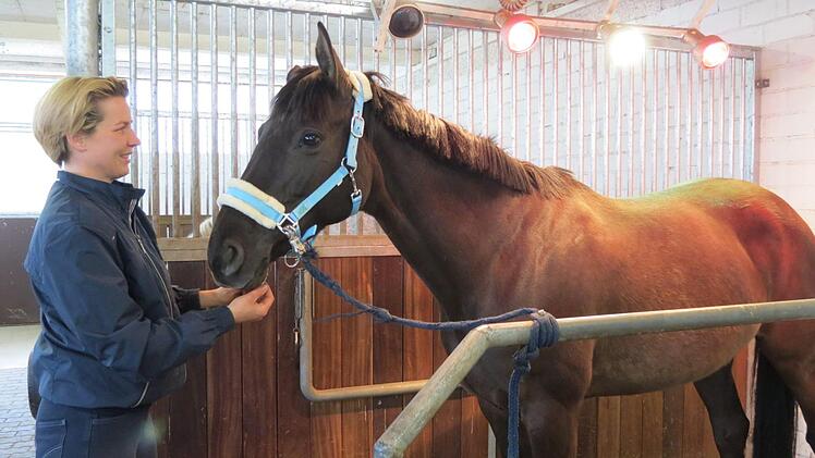 Für Pferde gibt es im Reitstall ein Solarium, aus therapeutischen Gründen, zum Aufwärmen oder Lockerung der Muskeln.  Foto: Doris Bauer