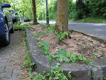 Die Stadt Münnerstadt macht es vor: Die Steine am Parkplatz Oberes Tor sind bereits entfernt worden, die Flächen sollen im Rahmen des Integrierten Städtischen Entwicklungskonzeptes neu gestaltet werden. Künftig wird es keine neuen Schottergärten g...