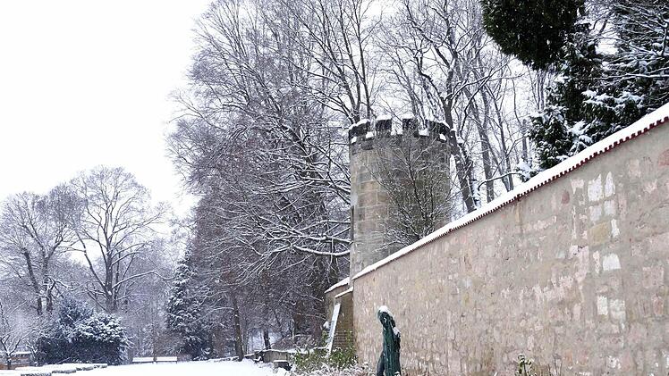 Winterimpressionen aus Coburg: Kleiner RosengartenFoto: Jochen Berger