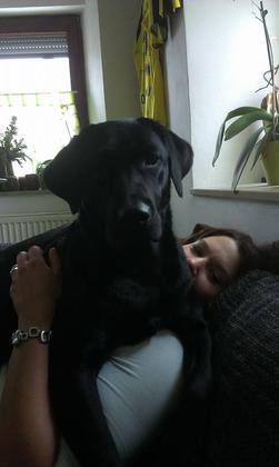 Foto: Sabine Dasch