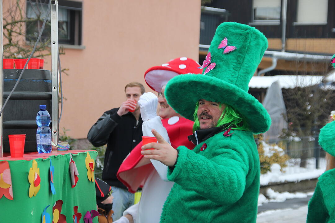 Faschingsumzug in Oberhaid