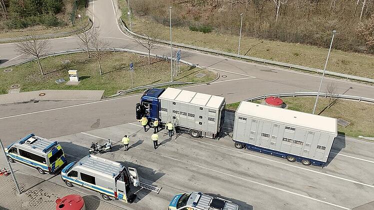 Kontrolle von Tiertransportern auf der A3