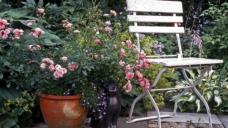 Symbolbild Foto: dpa