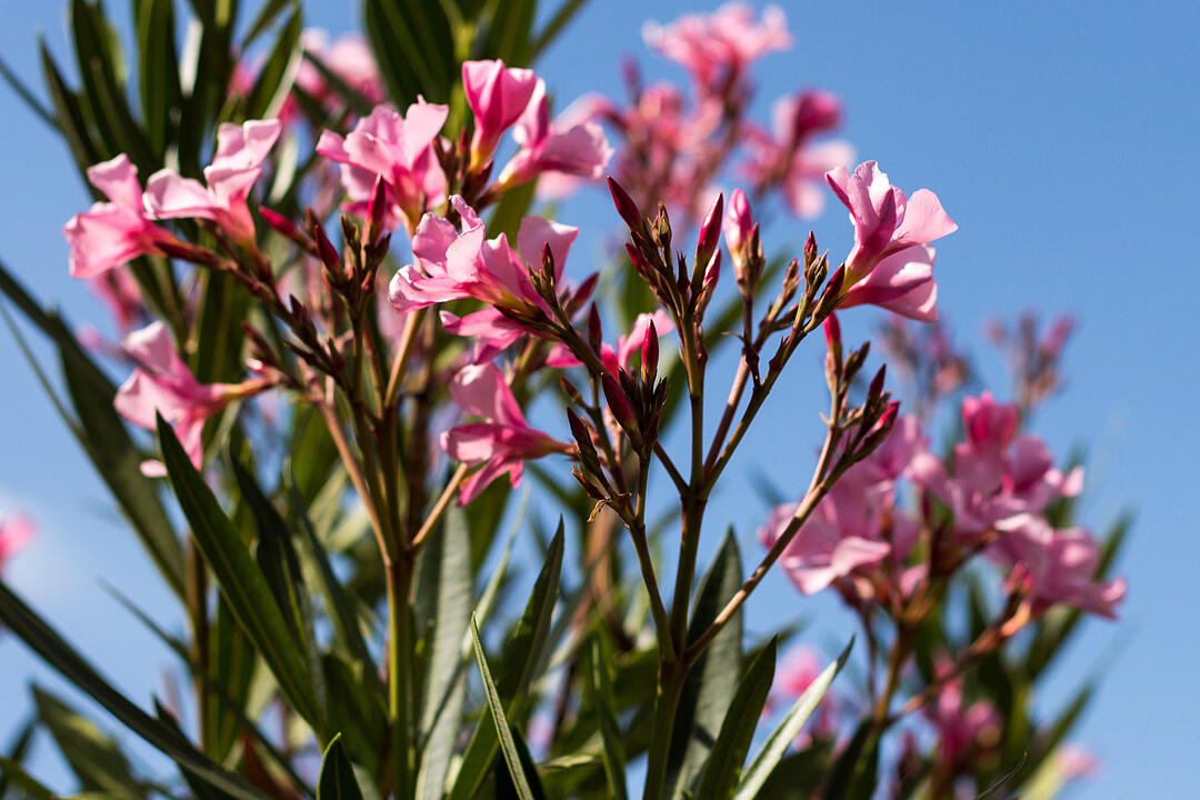 Fotos Konrad Thomann