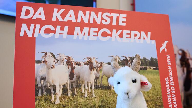 Frühere Kampagne für Brandenburg «Da kannste nich meckern»