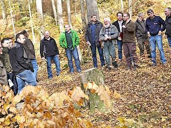 Am Karolinenbrünnchen wurden die Stadträte und Ortssprecher von Forstdirektor Franz Eder (Mitte mit Bart) und Revierleiter Clemens Beyer (rechts daneben) über den aktuellen Holzeinschlag am Roßberg informiert. Bürgermeister Claus Bittenbrünn (Zweiter von links) leitete die Zusammenkunft des Stadtrats. Fotos: Gerold Snater