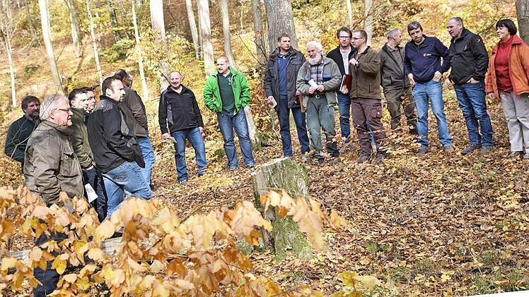 Am Karolinenbrünnchen wurden die Stadträte und Ortssprecher von Forstdirektor Franz Eder (Mitte mit Bart) und Revierleiter Clemens Beyer (rechts daneben) über den aktuellen Holzeinschlag am Roßberg informiert. Bürgermeister Claus Bittenbrünn (Zweiter von links) leitete die Zusammenkunft des Stadtrats. Fotos: Gerold Snater