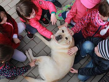 "Malou" lässt sich geduldig von den Vorschulkindern herzen. Als Kindergarten-Hund ist das mit das Beste an ihrem Job. Was die Kinder dürfen und was nicht, ist in den "Hunde-Regeln" festgeschrieben. Wird es der Labrador-Retriever-Dame zu viel, zieht sie sich zurück ins Hundehaus im Büro von Frauchen.  Foto: Carmen Schmitt