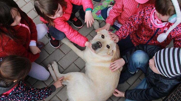 "Malou" lässt sich geduldig von den Vorschulkindern herzen. Als Kindergarten-Hund ist das mit das Beste an ihrem Job. Was die Kinder dürfen und was nicht, ist in den "Hunde-Regeln" festgeschrieben. Wird es der Labrador-Retriever-Dame zu viel, zieht sie sich zurück ins Hundehaus im Büro von Frauchen.  Foto: Carmen Schmitt