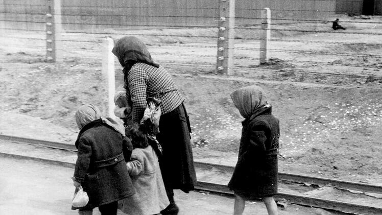 Der letzte Weg: Menschen, die zu Fuß zu den Gaskammern von Auschwitz gehen müssen.