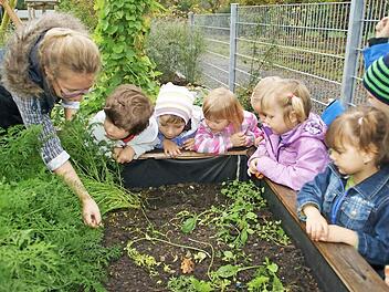 Schaut mal, wer da wohnt: Max, Sophie, Ayleen (von links) und die anderen Gartenkinder beobachten gespannt die Kleintiere, auf die sie Michaela von der Linden im Hochbeet aufmerksam macht. Die Buben und Mädchen aus dem Limbacher Kindergarten lernten viel dabei. Foto: Sabine Weinbeer