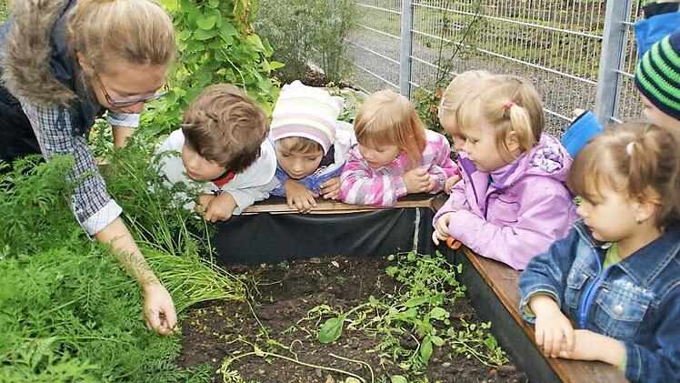 Schaut mal, wer da wohnt: Max, Sophie, Ayleen (von links) und die anderen Gartenkinder beobachten gespannt die Kleintiere, auf die sie Michaela von der Linden im Hochbeet aufmerksam macht. Die Buben und Mädchen aus dem Limbacher Kindergarten lernten viel dabei. Foto: Sabine Weinbeer