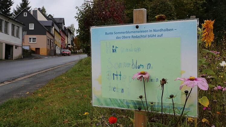 Hoffnung in Nordhalben? Foto: Barbara Herbst