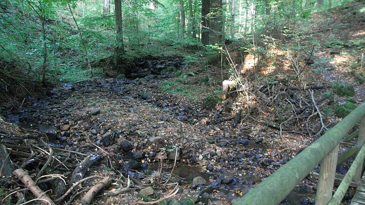 Die Kaskadenschlucht beim Abstieg in Richtung Gersfeld.
