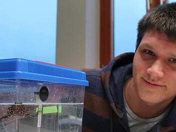 Stefan Hartmann hat das Stoffwechsel-Verhalten von Rotbauchunken untersucht.  Fotos: Benedikt Borst
