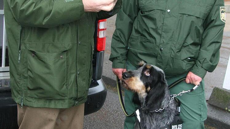 Jetzt geht's um die Wurst: Polizeipräsident Reinhard Kunkel spendiert eine Wurst für die neuen im Team - die beiden Personensuchhunde im Polizeipräsidium Oberfranken. Foto: Sonja Adam